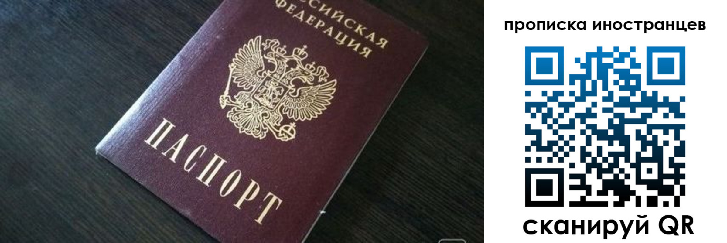 прописка 2025 в Краснозаводске